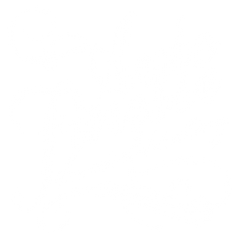 Auto Finesse Logo